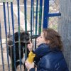 Charytatywna akcja na rzecz Schroniska dla Bezdomnych Zwierząt  w Orzechowcach na terenie kampusu PANS, Delikatesów Piotruś Pan, sklepów SPOŁEM i E.Leclerc w Jarosławiu PRZEDŁUŻONA do 26 KWIETNIA