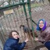 Charytatywna akcja na rzecz Schroniska dla Bezdomnych Zwierząt  w Orzechowcach na terenie kampusu PANS, Delikatesów Piotruś Pan, sklepów SPOŁEM i E.Leclerc w Jarosławiu PRZEDŁUŻONA do 26 KWIETNIA