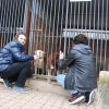 Charytatywna akcja na rzecz Schroniska dla Bezdomnych Zwierząt  w Orzechowcach na terenie kampusu PANS, Delikatesów Piotruś Pan, sklepów SPOŁEM i E.Leclerc w Jarosławiu PRZEDŁUŻONA do 26 KWIETNIA