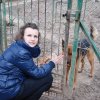 Charytatywna akcja na rzecz Schroniska dla Bezdomnych Zwierząt  w Orzechowcach na terenie kampusu PANS, Delikatesów Piotruś Pan, sklepów SPOŁEM i E.Leclerc w Jarosławiu PRZEDŁUŻONA do 26 KWIETNIA