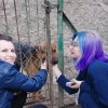 Charytatywna akcja na rzecz Schroniska dla Bezdomnych Zwierząt  w Orzechowcach na terenie kampusu PANS, Delikatesów Piotruś Pan, sklepów SPOŁEM i E.Leclerc w Jarosławiu PRZEDŁUŻONA do 26 KWIETNIA