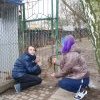 Charytatywna akcja na rzecz Schroniska dla Bezdomnych Zwierząt  w Orzechowcach na terenie kampusu PANS, Delikatesów Piotruś Pan, sklepów SPOŁEM i E.Leclerc w Jarosławiu PRZEDŁUŻONA do 26 KWIETNIA