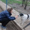Charytatywna akcja na rzecz Schroniska dla Bezdomnych Zwierząt  w Orzechowcach na terenie kampusu PANS, Delikatesów Piotruś Pan, sklepów SPOŁEM i E.Leclerc w Jarosławiu PRZEDŁUŻONA do 26 KWIETNIA