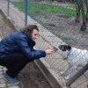 Charytatywna akcja na rzecz Schroniska dla Bezdomnych Zwierząt  w Orzechowcach na terenie kampusu PANS, Delikatesów Piotruś Pan, sklepów SPOŁEM i E.Leclerc w Jarosławiu PRZEDŁUŻONA do 26 KWIETNIA