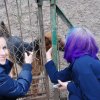 Charytatywna akcja na rzecz Schroniska dla Bezdomnych Zwierząt  w Orzechowcach na terenie kampusu PANS, Delikatesów Piotruś Pan, sklepów SPOŁEM i E.Leclerc w Jarosławiu PRZEDŁUŻONA do 26 KWIETNIA