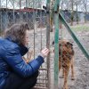 Charytatywna akcja na rzecz Schroniska dla Bezdomnych Zwierząt  w Orzechowcach na terenie kampusu PANS, Delikatesów Piotruś Pan, sklepów SPOŁEM i E.Leclerc w Jarosławiu PRZEDŁUŻONA do 26 KWIETNIA