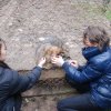 Charytatywna akcja na rzecz Schroniska dla Bezdomnych Zwierząt  w Orzechowcach na terenie kampusu PANS, Delikatesów Piotruś Pan, sklepów SPOŁEM i E.Leclerc w Jarosławiu PRZEDŁUŻONA do 26 KWIETNIA