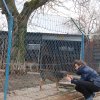Charytatywna akcja na rzecz Schroniska dla Bezdomnych Zwierząt  w Orzechowcach na terenie kampusu PANS, Delikatesów Piotruś Pan, sklepów SPOŁEM i E.Leclerc w Jarosławiu PRZEDŁUŻONA do 26 KWIETNIA