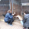 Charytatywna akcja na rzecz Schroniska dla Bezdomnych Zwierząt  w Orzechowcach na terenie kampusu PANS, Delikatesów Piotruś Pan, sklepów SPOŁEM i E.Leclerc w Jarosławiu PRZEDŁUŻONA do 26 KWIETNIA