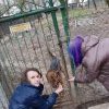 Charytatywna akcja na rzecz Schroniska dla Bezdomnych Zwierząt  w Orzechowcach na terenie kampusu PANS, Delikatesów Piotruś Pan, sklepów SPOŁEM i E.Leclerc w Jarosławiu PRZEDŁUŻONA do 26 KWIETNIA