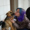 Charytatywna akcja na rzecz Schroniska dla Bezdomnych Zwierząt  w Orzechowcach na terenie kampusu PANS, Delikatesów Piotruś Pan, sklepów SPOŁEM i E.Leclerc w Jarosławiu PRZEDŁUŻONA do 26 KWIETNIA