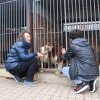 Charytatywna akcja na rzecz Schroniska dla Bezdomnych Zwierząt  w Orzechowcach na terenie kampusu PANS, Delikatesów Piotruś Pan, sklepów SPOŁEM i E.Leclerc w Jarosławiu PRZEDŁUŻONA do 26 KWIETNIA