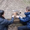 Charytatywna akcja na rzecz Schroniska dla Bezdomnych Zwierząt  w Orzechowcach na terenie kampusu PANS, Delikatesów Piotruś Pan, sklepów SPOŁEM i E.Leclerc w Jarosławiu PRZEDŁUŻONA do 26 KWIETNIA