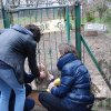 Charytatywna akcja na rzecz Schroniska dla Bezdomnych Zwierząt  w Orzechowcach na terenie kampusu PANS, Delikatesów Piotruś Pan, sklepów SPOŁEM i E.Leclerc w Jarosławiu PRZEDŁUŻONA do 26 KWIETNIA