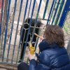 Charytatywna akcja na rzecz Schroniska dla Bezdomnych Zwierząt  w Orzechowcach na terenie kampusu PANS, Delikatesów Piotruś Pan, sklepów SPOŁEM i E.Leclerc w Jarosławiu PRZEDŁUŻONA do 26 KWIETNIA