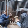 Charytatywna akcja na rzecz Schroniska dla Bezdomnych Zwierząt  w Orzechowcach na terenie kampusu PANS, Delikatesów Piotruś Pan, sklepów SPOŁEM i E.Leclerc w Jarosławiu PRZEDŁUŻONA do 26 KWIETNIA
