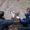 Charytatywna akcja na rzecz Schroniska dla Bezdomnych Zwierząt  w Orzechowcach na terenie kampusu PANS, Delikatesów Piotruś Pan, sklepów SPOŁEM i E.Leclerc w Jarosławiu PRZEDŁUŻONA do 26 KWIETNIA