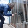 Charytatywna akcja na rzecz Schroniska dla Bezdomnych Zwierząt  w Orzechowcach na terenie kampusu PANS, Delikatesów Piotruś Pan, sklepów SPOŁEM i E.Leclerc w Jarosławiu PRZEDŁUŻONA do 26 KWIETNIA