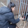 Charytatywna akcja na rzecz Schroniska dla Bezdomnych Zwierząt  w Orzechowcach na terenie kampusu PANS, Delikatesów Piotruś Pan, sklepów SPOŁEM i E.Leclerc w Jarosławiu PRZEDŁUŻONA do 26 KWIETNIA