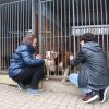 Charytatywna akcja na rzecz Schroniska dla Bezdomnych Zwierząt  w Orzechowcach na terenie kampusu PANS, Delikatesów Piotruś Pan, sklepów SPOŁEM i E.Leclerc w Jarosławiu PRZEDŁUŻONA do 26 KWIETNIA