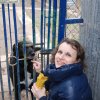 Charytatywna akcja na rzecz Schroniska dla Bezdomnych Zwierząt  w Orzechowcach na terenie kampusu PANS, Delikatesów Piotruś Pan, sklepów SPOŁEM i E.Leclerc w Jarosławiu PRZEDŁUŻONA do 26 KWIETNIA