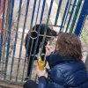 Charytatywna akcja na rzecz Schroniska dla Bezdomnych Zwierząt  w Orzechowcach na terenie kampusu PANS, Delikatesów Piotruś Pan, sklepów SPOŁEM i E.Leclerc w Jarosławiu PRZEDŁUŻONA do 26 KWIETNIA
