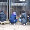 Charytatywna akcja na rzecz Schroniska dla Bezdomnych Zwierząt  w Orzechowcach na terenie kampusu PANS, Delikatesów Piotruś Pan, sklepów SPOŁEM i E.Leclerc w Jarosławiu PRZEDŁUŻONA do 26 KWIETNIA