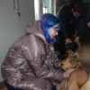 Charytatywna akcja na rzecz Schroniska dla Bezdomnych Zwierząt  w Orzechowcach na terenie kampusu PANS, Delikatesów Piotruś Pan, sklepów SPOŁEM i E.Leclerc w Jarosławiu PRZEDŁUŻONA do 26 KWIETNIA