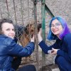 Charytatywna akcja na rzecz Schroniska dla Bezdomnych Zwierząt  w Orzechowcach na terenie kampusu PANS, Delikatesów Piotruś Pan, sklepów SPOŁEM i E.Leclerc w Jarosławiu PRZEDŁUŻONA do 26 KWIETNIA