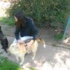 Finał akcji na rzecz Schroniska dla Bezdomnych Zwierząt z Orzechowiec