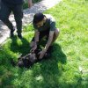 Finał akcji na rzecz Schroniska dla Bezdomnych Zwierząt z Orzechowiec