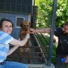 Finał akcji na rzecz Schroniska dla Bezdomnych Zwierząt z Orzechowiec