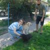 Finał akcji na rzecz Schroniska dla Bezdomnych Zwierząt z Orzechowiec