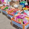 Finał akcji na rzecz Schroniska dla Bezdomnych Zwierząt z Orzechowiec