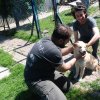Finał akcji na rzecz Schroniska dla Bezdomnych Zwierząt z Orzechowiec