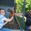 Finał akcji na rzecz Schroniska dla Bezdomnych Zwierząt z Orzechowiec