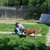 Finał akcji na rzecz Schroniska dla Bezdomnych Zwierząt z Orzechowiec