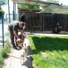 Finał akcji na rzecz Schroniska dla Bezdomnych Zwierząt z Orzechowiec