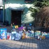 Do 31.03.2025 r. trwa akcja na rzecz Schroniska dla Bezdomnych Zwierząt z Orzechowiec