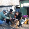 Do 31.03.2025 r. trwa akcja na rzecz Schroniska dla Bezdomnych Zwierząt z Orzechowiec