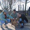 Do 31.03.2025 r. trwa akcja na rzecz Schroniska dla Bezdomnych Zwierząt z Orzechowiec