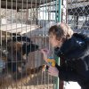 Do 31.03.2025 r. trwa akcja na rzecz Schroniska dla Bezdomnych Zwierząt z Orzechowiec
