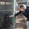 Do 31.03.2025 r. trwa akcja na rzecz Schroniska dla Bezdomnych Zwierząt z Orzechowiec