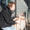 Do 31.03.2025 r. trwa akcja na rzecz Schroniska dla Bezdomnych Zwierząt z Orzechowiec