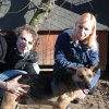 Do 31.03.2025 r. trwa akcja na rzecz Schroniska dla Bezdomnych Zwierząt z Orzechowiec