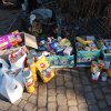 Do 31.03.2025 r. trwa akcja na rzecz Schroniska dla Bezdomnych Zwierząt z Orzechowiec