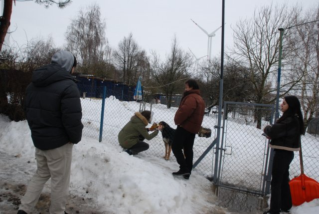 Do 20.04.2026 r. trwa akcja na rzecz Schroniska dla Bezdomnych Zwierząt z Orzechowiec