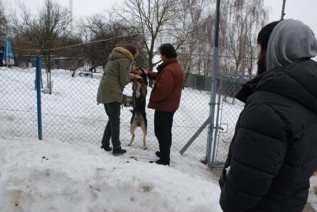Do 20.04.2026 r. trwa akcja na rzecz Schroniska dla Bezdomnych Zwierząt z Orzechowiec