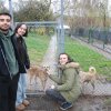 Trwa akcja na rzecz Schroniska dla Bezdomnych Zwierząt z Orzechowiec