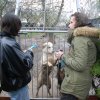 Trwa akcja na rzecz Schroniska dla Bezdomnych Zwierząt z Orzechowiec